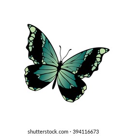 Butterfly vector icon