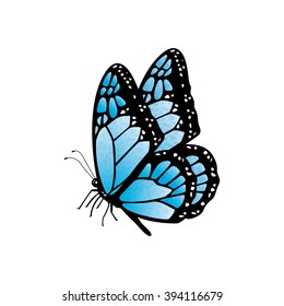Butterfly vector icon