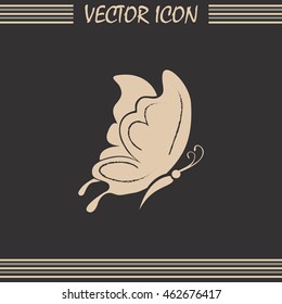 butterfly vector icon