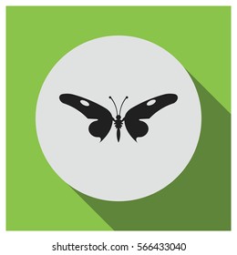 Butterfly vector icon