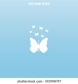 Butterfly vector  icon.