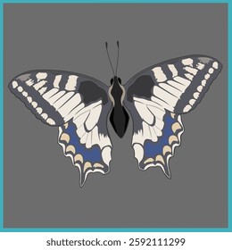 butterfly vector icon. cartoon vector icon isolated on gray background butterfly.