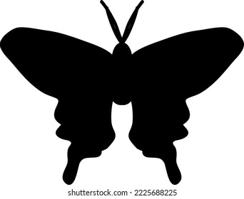 Butterfly vector icon illustration on white background.