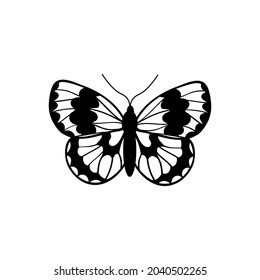 Butterfly vector icon. insect illustration sign. moth symbol.