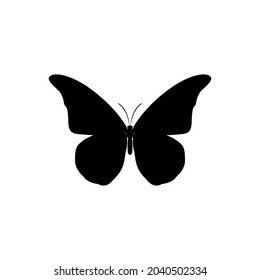 Butterfly vector icon. insect illustration sign. moth symbol.