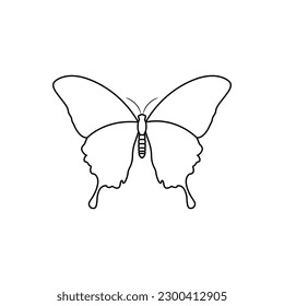 Butterfly vector icon. insect illustration sign. moth symbol.