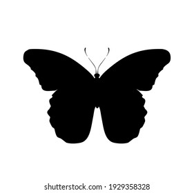 Icono vectorial de la mariposa, aislado en blanco