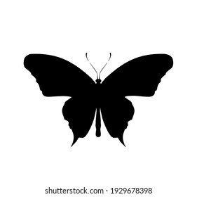 Butterfly vector icon, isolated on white