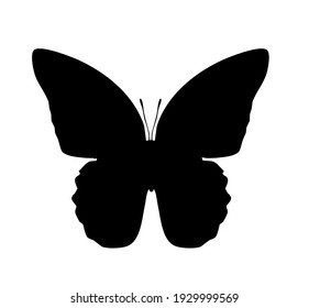 Butterfly vector icon, isolated on white