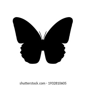 Butterfly vector icon, isolated on white