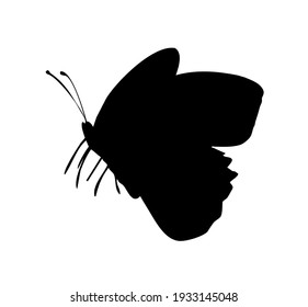 Butterfly vector icon, isolated on white