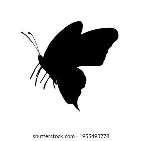 Butterfly vector icon, isolated on white