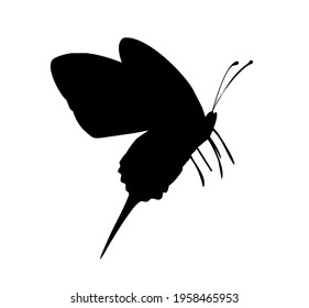 Butterfly vector icon, isolated on white
