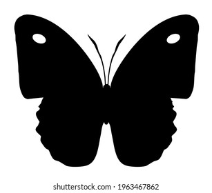 Butterfly vector icon, isolated on white