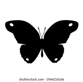 Butterfly vector icon, isolated on white