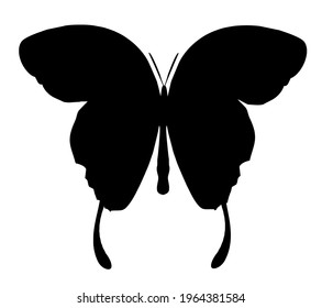 Butterfly vector icon, isolated on white