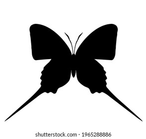 Butterfly vector icon, isolated on white