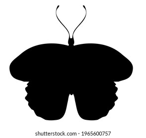 Butterfly vector icon, isolated on white