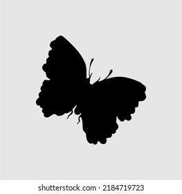 butterfly vector for icon, logo or illustration