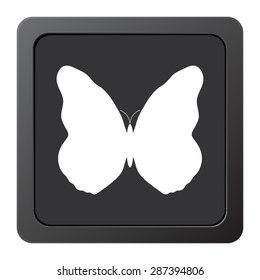 butterfly - vector icon on a grey button