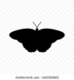 Butterfly vector icon on white background. vector illustration