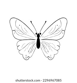 Butterfly Vector Icon Transparent No White Background EPS 