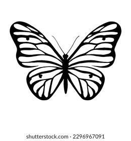 Butterfly Vector Icon Transparent No White Background EPS 