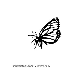 Butterfly Vector Icon Transparent No White Background EPS 