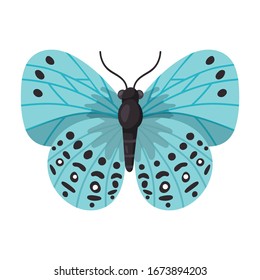 Butterfly vector icon.Cartoon vector icon isolated on white background butterfly .