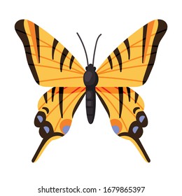 Butterfly vector icon.Cartoon vector icon isolated on white background butterfly .