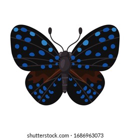 Butterfly vector icon.Cartoon vector icon isolated on white background butterfly .