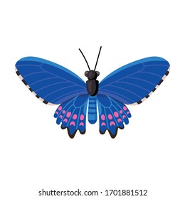 Butterfly vector icon.Cartoon vector icon isolated on white background butterfly .