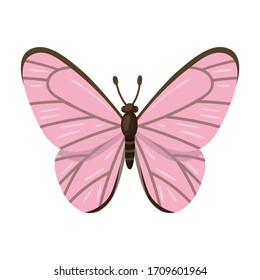 Icono vectorial de mariposa.Icono vectorial de caricatura aislado en mariposa de fondo blanco.