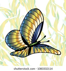 butterfly vector illustration