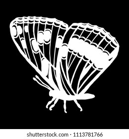 butterfly vector illustration