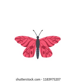 butterfly, vector illustration