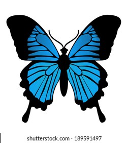 Butterfly. Vector illustration 