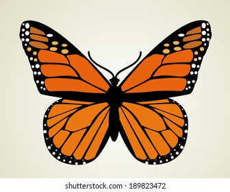 Butterfly. Vector illustration 