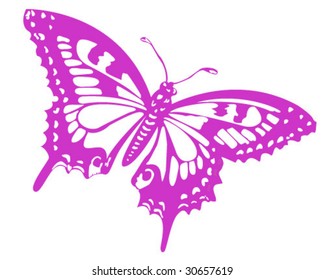 Butterfly - Vector Illustration