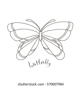 butterfly vector illustration