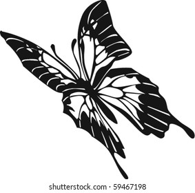 Butterfly Vector Illustration