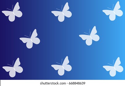 Butterfly Vector illustration