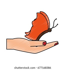 butterfly vector illustration