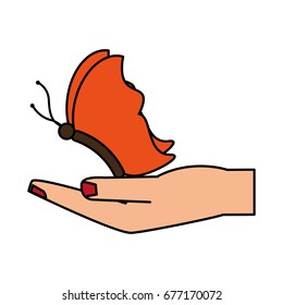 butterfly vector illustration