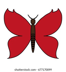 butterfly vector illustration