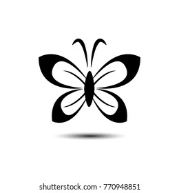 butterfly vector illustration