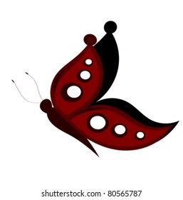 Butterfly vector illustration