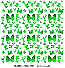 Butterfly vector illustration. Beautiful azure isolated butterfly