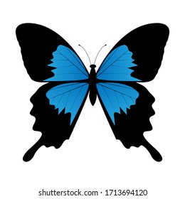 Butterfly Vector Illustration with Blue Gradient Color.
