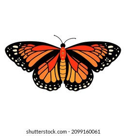 Butterfly vector illustration clipart. Cute Butterfly isolated.